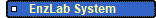         EnzLab System