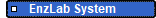         EnzLab System